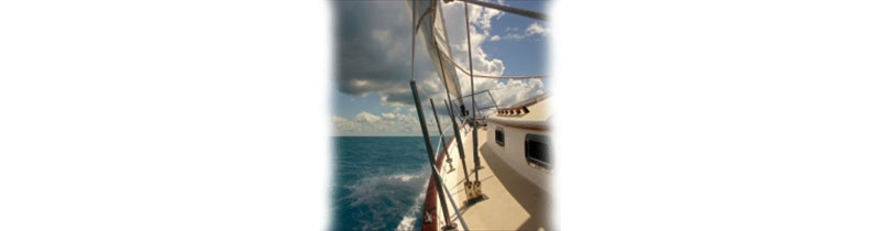 See the World on your terms